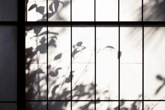 "Bou" House of Shimazui Manor including breakfast and dinner