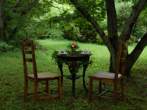 森に包まれた癒しの時間をお過ごし下さい 森に包まれた癒しの時間をお過ごし下さい