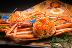 【ブランド活カニ】津居山、浜坂、柴山港より厳選したブランド蟹をご堪能ください。※写真は「津居山カニ」 【ブランド活カニ】津居山、浜坂、柴山港より厳選したブランド蟹をご堪能ください。※写真は「津居山カニ」