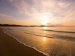 海には小走り3秒で到着！！ぜひお散歩を！