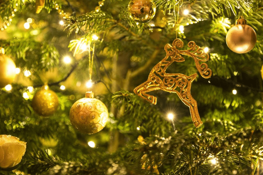 【Happy Xmas】南仏プロヴァンスのクリスマスディナー.・★スパークリングワインお一人様１杯付