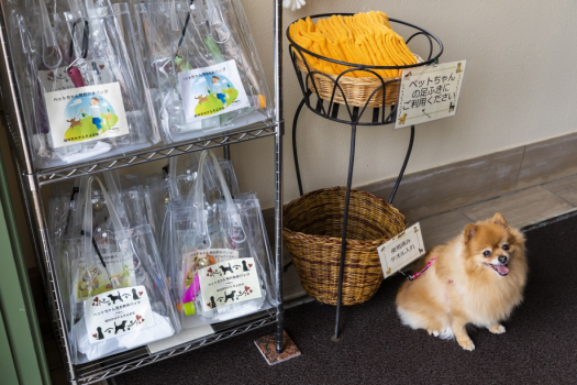 【わんちゃんグッズ】館内に設置されているわんちゃんグッズ。