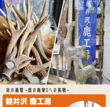 軽井沢　鹿工房