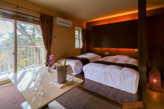 【デラックス・ツイン】小さなバルコニー付き　眺望の良い洋室