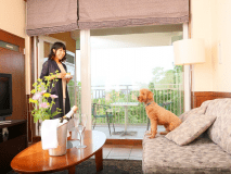 【アネックス】わんちゃんものんびりリラックス