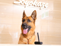 ■ようこそ！軽井沢ホテルそよかぜへ