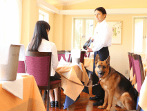 ■レストランでわんちゃんとご一緒にお食事もできます