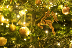 【Happy Xmas】南仏プロヴァンスのクリスマスディナー.・★スパークリングワインお一人様１杯付