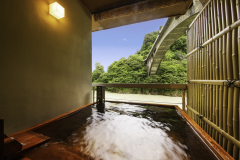 [With open-air bath] Special room - twin/non-smoking