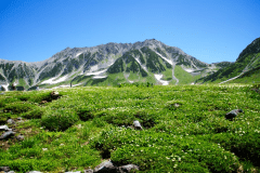 【立山黒部アルペンルート】夏の室堂平の景色。大自然の絶景と癒しのひととき。