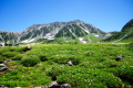 【立山黒部アルペンルート】夏の室堂平の景色。大自然の絶景と癒しのひととき。