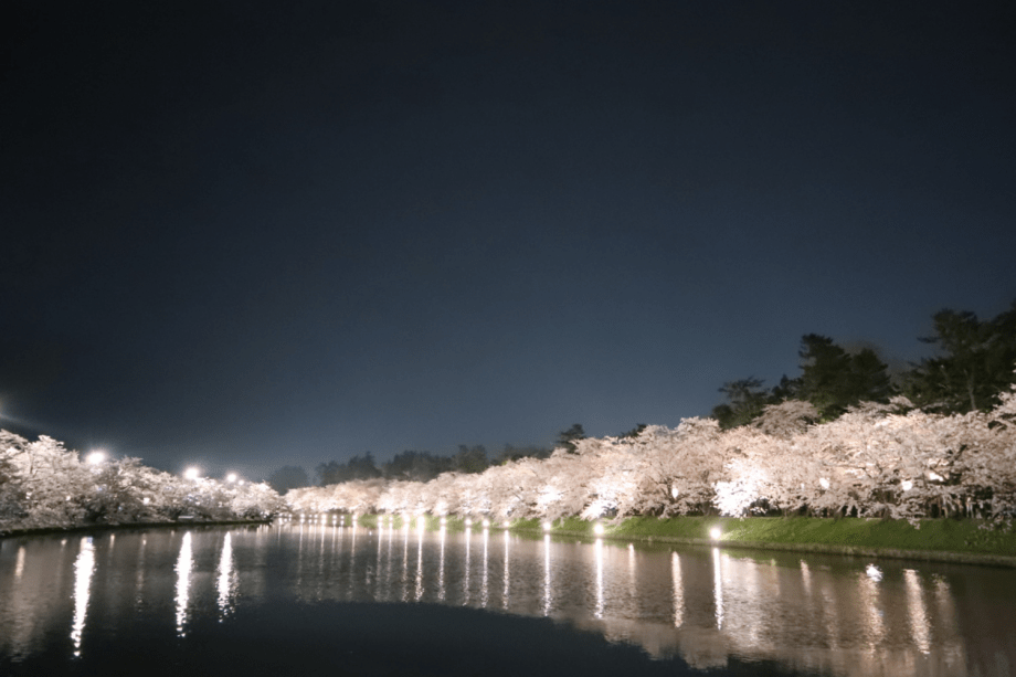 弘前公園 夜桜 弘前公園 夜桜
