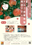 りんご収穫体験宿泊プラン りんご収穫体験宿泊プラン