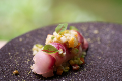 お料理イメージ お料理イメージ