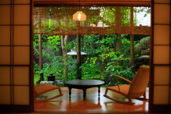 【宵待草】 【宵待草】