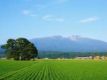 ◆庄内の味覚でお出迎え◆　 遊楽里のご褒美お出かけ(^^)/ぷらん♪