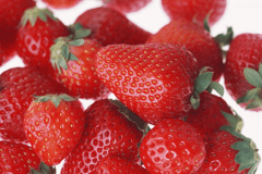 いちご狩り体験🍓30分食べ放題♪