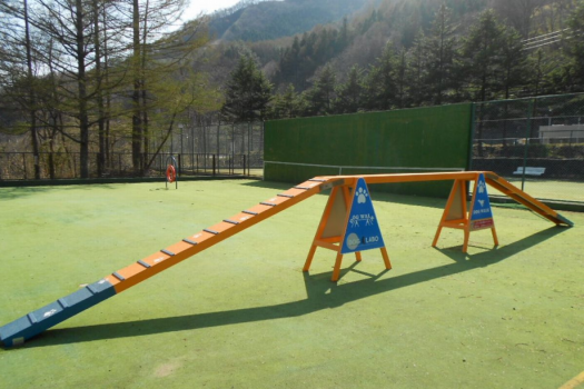 【風木立の川辺　紫明館】ドッグラン完備！ノーリードで思う存分お楽しみください♪