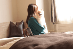 【ペット同伴可】洋室ツイン《大》32平米（禁煙）／【ペット同伴可※小型犬専用】洋室ツイン《小》23平米（禁煙）