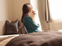 ▼わんちゃんと一緒プラン　わんちゃんのお部屋には、ケージ・トイレ・フードボウルが備え付けです