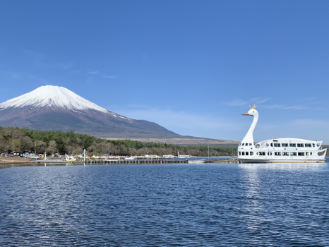 遊覧船「山中湖の白鳥の湖」のチケット付きプラン♪