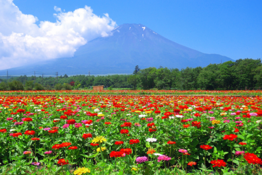 花の都公園