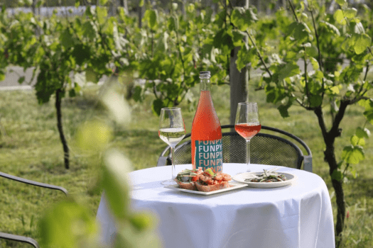 ヴィンヤーズフェスタ