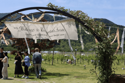 ヴィンヤーズフェスタ