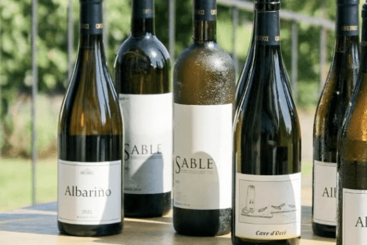 【8/1～8/3】アルバリーニョの日スペシャルワイナリーステイ 1泊2食