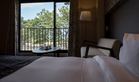 モデレートツイン37㎡　眺望