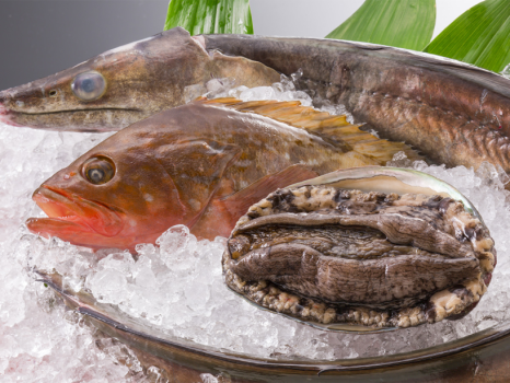 【瀬戸内-姿盛り-】“瀬戸内海沿いの宿”だからこそ＜新鮮なお刺身＞が食べたい！4大特典付♪