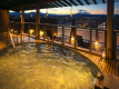 Early Bird Discount - 30 days or more in advance-