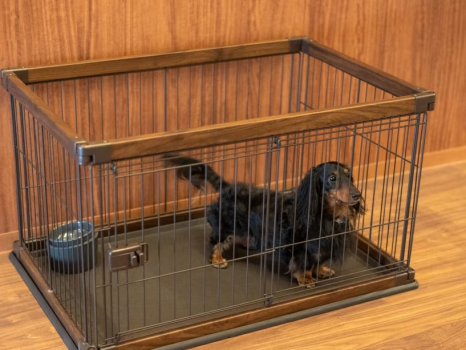 【オープン記念】【お部屋で愛犬と食事】プレミアムツイン誕生！特別価格21,000円
