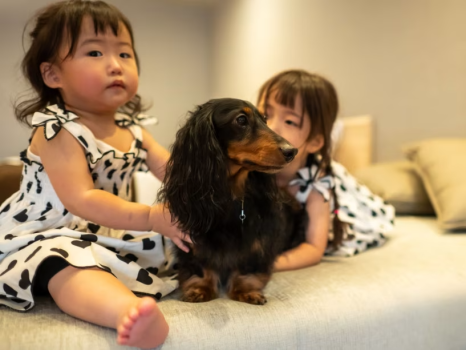 【オープン記念】愛犬と泊まれるプレミアムツインルームがオープン！今だけの特別価格で平日18,000円のオープンニングセールプラン