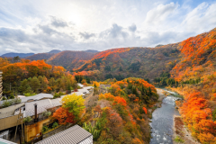 日付限定【3,300円OFF!】ずらしてお得旅☆丸峰に秋を探しに行こう!ビュッフェプラン 日付限定【3,300円OFF!】ずらしてお得旅☆丸峰に秋を探しに行こう!ビュッフェプラン