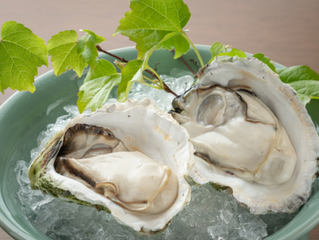 【夏限定】日本海直送「岩牡蠣」と夏野菜を味わうプラン
