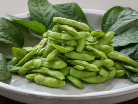 【夏限定】日本海直送「岩牡蠣」と夏野菜を味わうプラン
