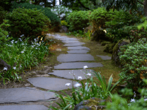 ≪NEW!≫【禁煙】【２階客室】ツインベット付き和室「蛍」