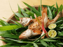 【公式HP】～吟味少量会席～新潟の旬素材を吟味した量が少なめのお料理です～