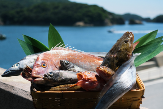 瀬戸内の新鮮な海の幸を選び抜き、「鮮度」と「味の濃さ」をお楽しみいただけるような逸品に。