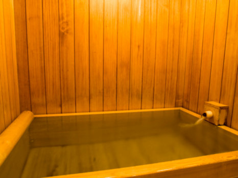 Japanese-Style Deluxe Room "NAGOMI" Non-Smoking