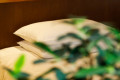 【Room　Designation/Breakfast included】303　 Kan Sano　Semi Suite Room 45㎡/ DOUBLE or TWIN