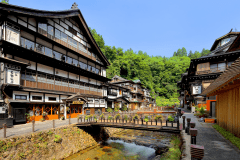 Basic plan with half board