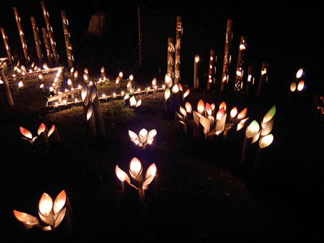 ＜川の郷ほたるまつり＞ホタルが見られる時期に合わせて、地元の人が手作りした竹灯籠が飾られる毎年恒例のイベント♪ほたるの光と竹灯籠の灯りのコラボレーションを楽しもう♪