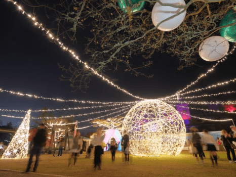 この冬1番の思い出作りに！冬の夜に輝く色とりどりのイルミネーションをお楽しみください！