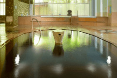 泉質はナトリウム塩化物・炭酸水素塩泉（弱アルカリ性低張性高温泉）