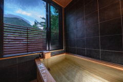 山景温泉附带本馆特别套房