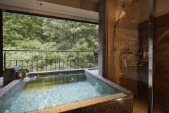 Premium Suite with Private Open-Air Hot Spring Bath Premium Suite with Private Open-Air Hot Spring Bath