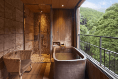 Premium Suite with Private Open-Air Hot Spring Bath Premium Suite with Private Open-Air Hot Spring Bath