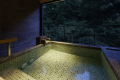 Premium Suite with Private Open-Air Hot Spring Bath Premium Suite with Private Open-Air Hot Spring Bath